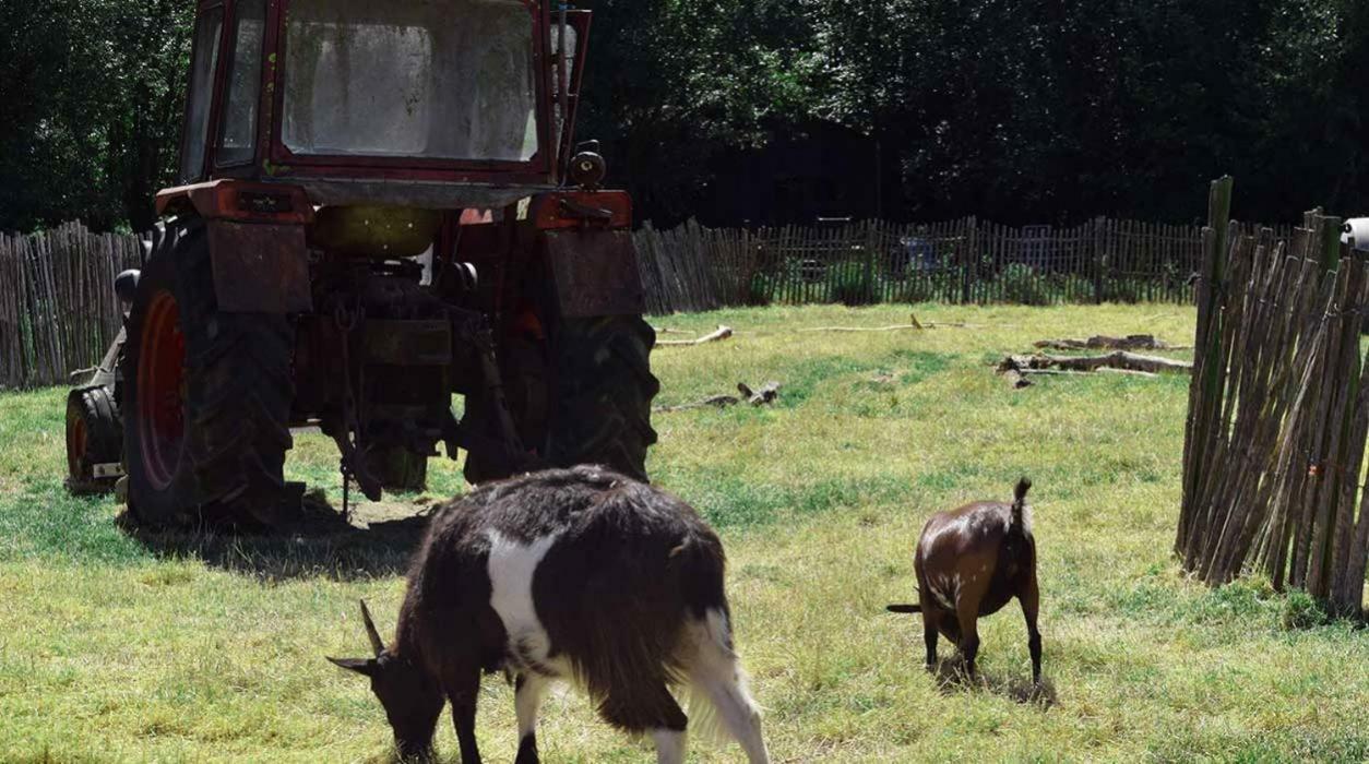 Hoeve De Pippert Otel Ophemert Dış mekan fotoğraf