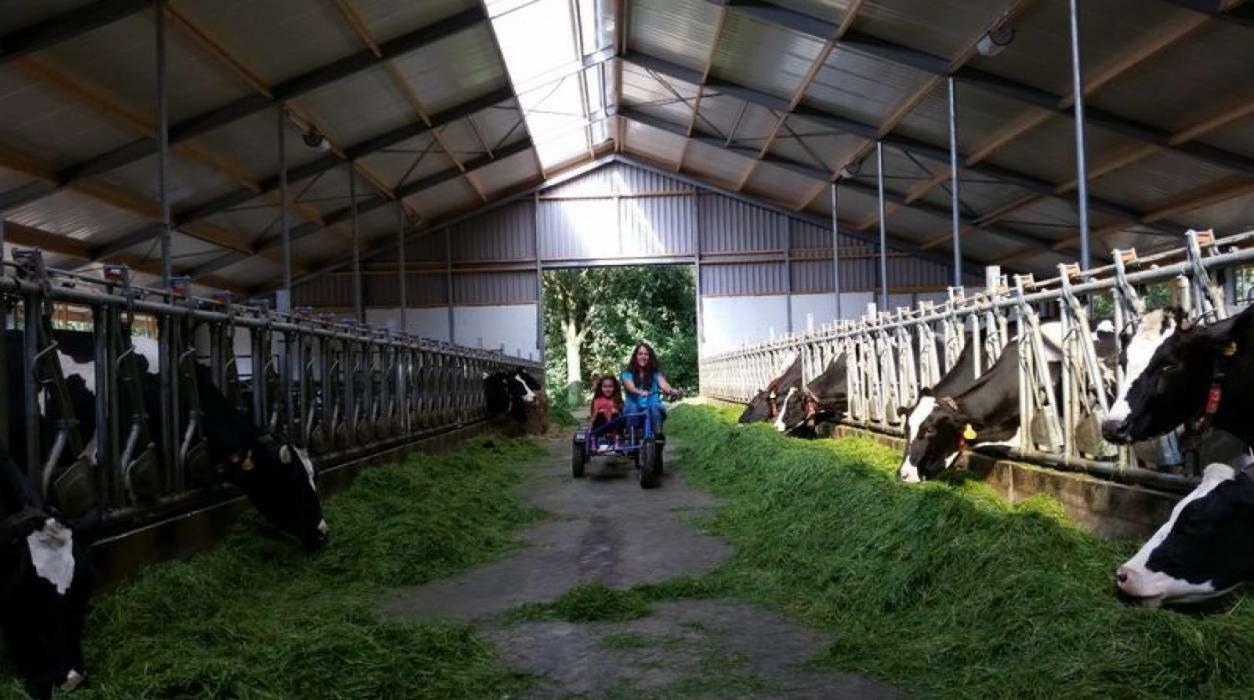 Hoeve De Pippert Otel Ophemert Dış mekan fotoğraf