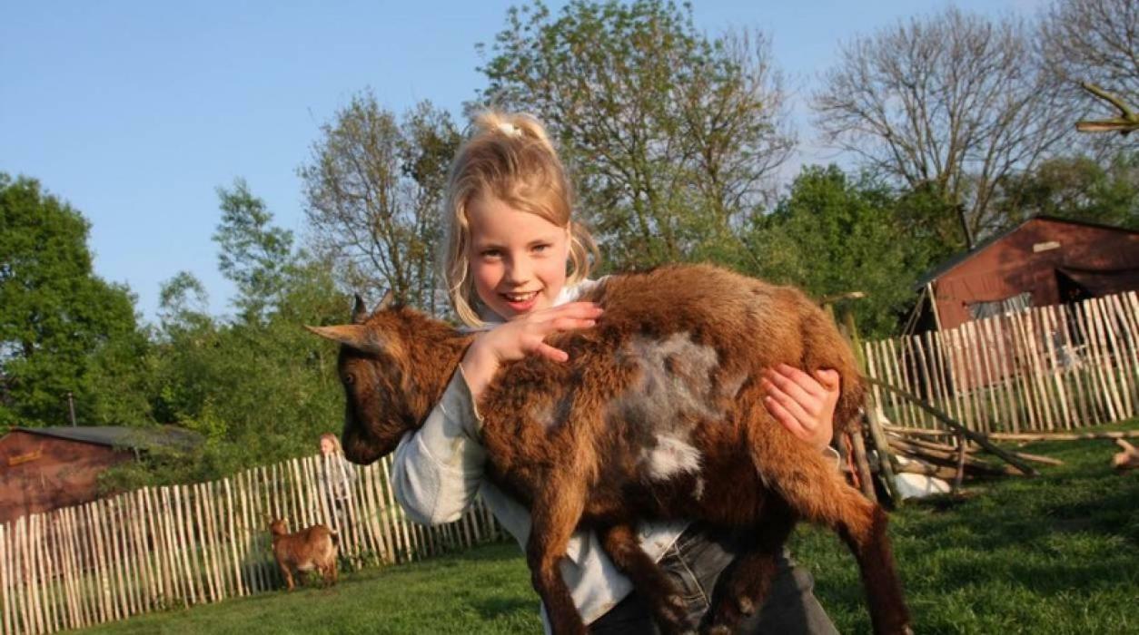 Hoeve De Pippert Otel Ophemert Dış mekan fotoğraf