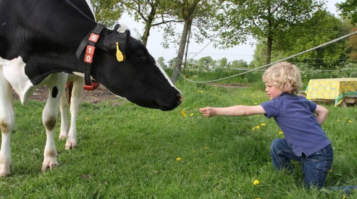 Hoeve De Pippert Otel Ophemert Dış mekan fotoğraf